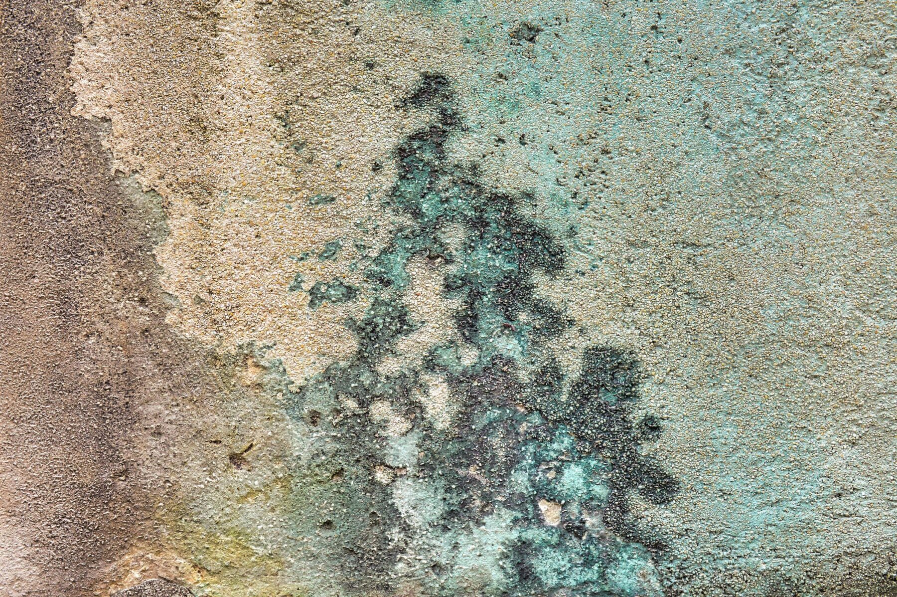 Close-up of pigmented concrete wall texture used in modern urban art installations